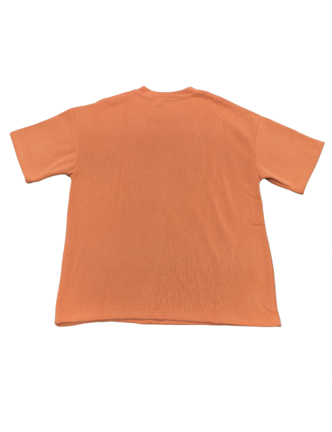 Seal Graphic Tee For Men,Short Sleeve Casual Shirt